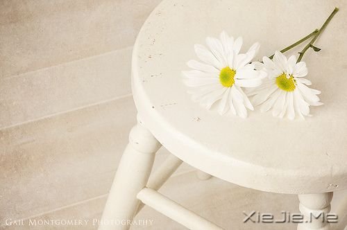 ˯տϣʹɥҲ泯 (5)